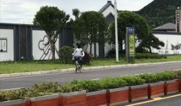 南充爆料论坛最新消息,揭秘本地热点事件背后的真相